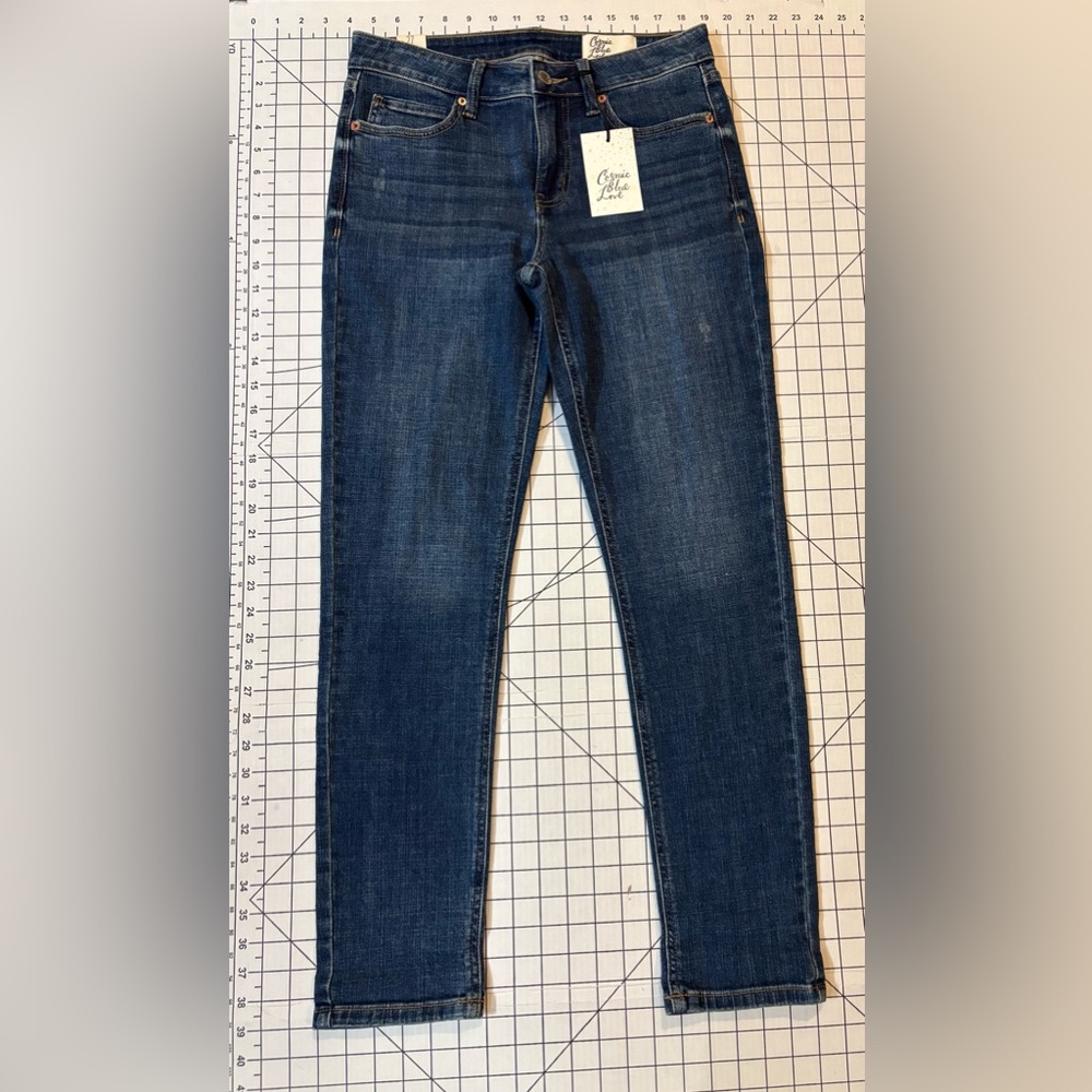 NWT Cosmic Blue Love by Pistola Women’s Size 27 Baby I Love You Straight Leg